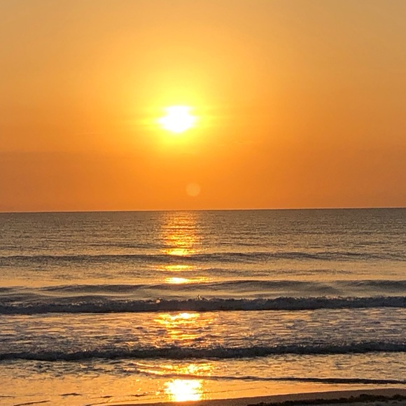 Meet your Posher, Shaun - Picture 3 of 4